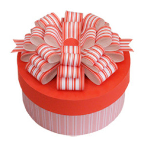 Cilindro de papel - rosa de empaquetado formado de la caja de regalo para la torta de cumpleaños
