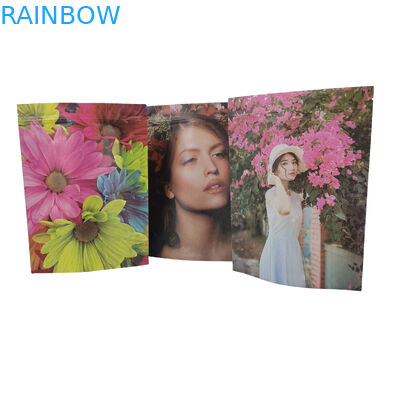 Bolsas de embalaje de alimentos de plástico con cerradura con cremallera de aluminio